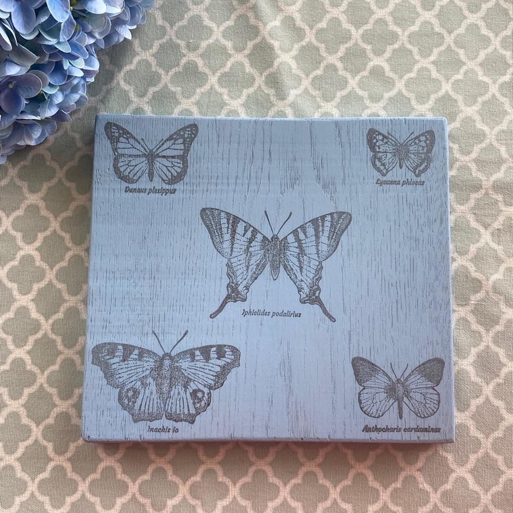 Handmade Butterfly Specimen Decor Scientific Names